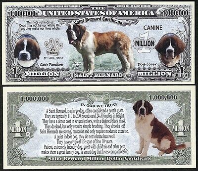 Saint Bernard Dog Bill Puppy & Adult Pics, Common Traits - Lot Of 10 Bills