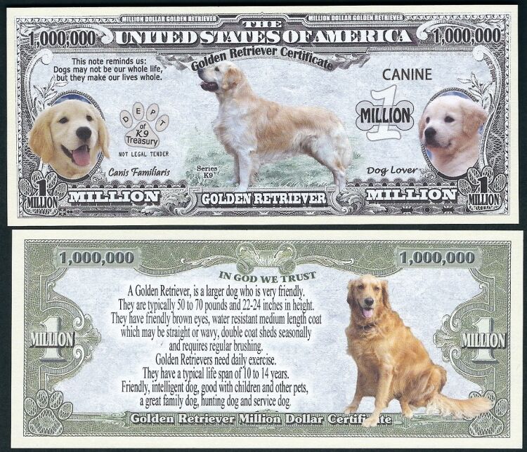 Golden Retriever Dog Bill Puppy & Adult Pics, Facts On Back - Lot Of 10 Bills